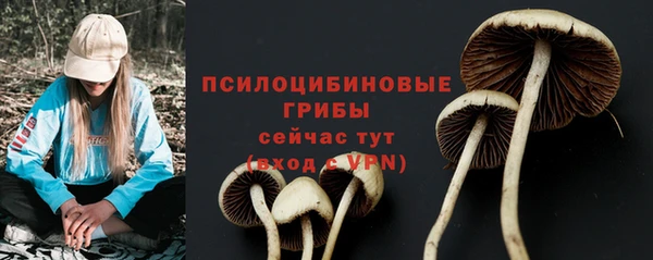 крисы Покровск