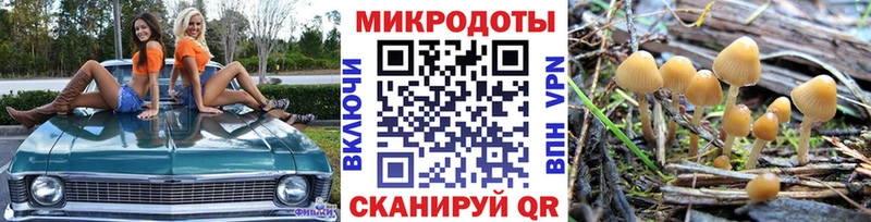 Купить где Покров Галлюциногенные грибы мухоморы